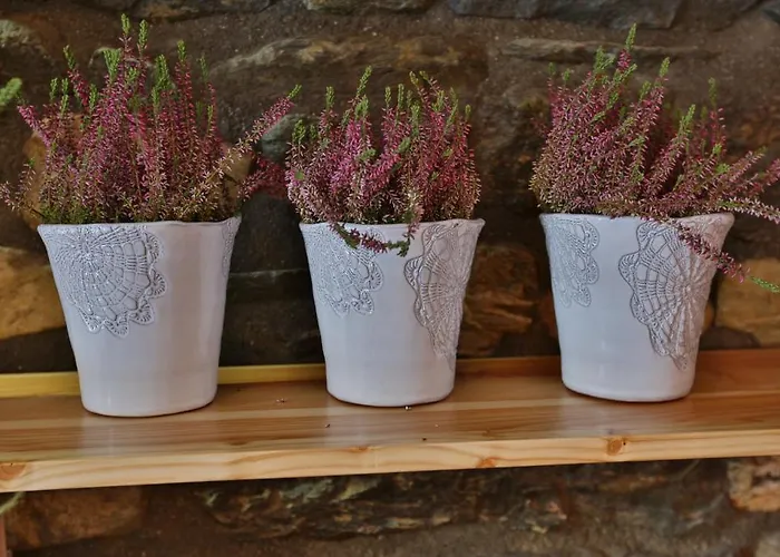 Mavambo * Le Châble