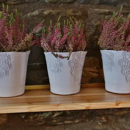 Mavambo * Le Châble